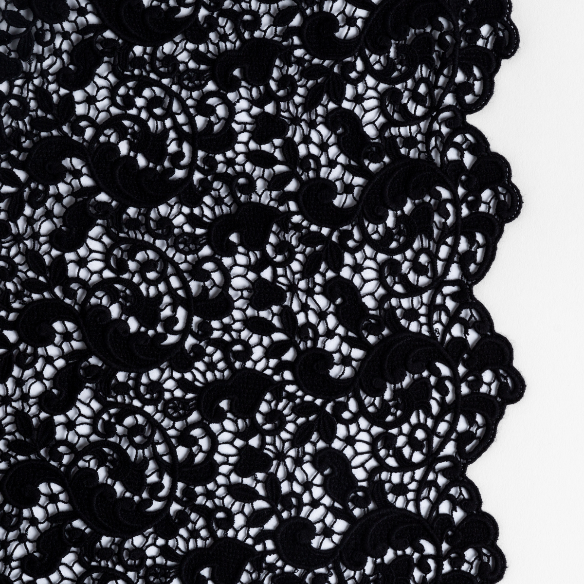 Corvino: a close up of cotton all-over lace with a scalloped edge.