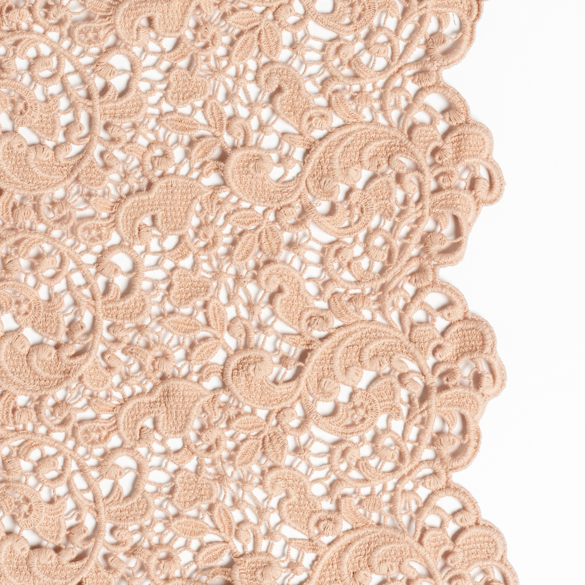 Rouge: a close up of cotton all-over lace with a scalloped edge.