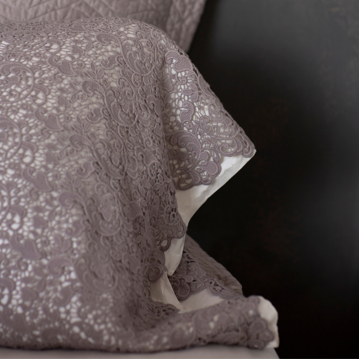 : a close up of the cotton lace pillowcase cover with a silk tencel pillowcase