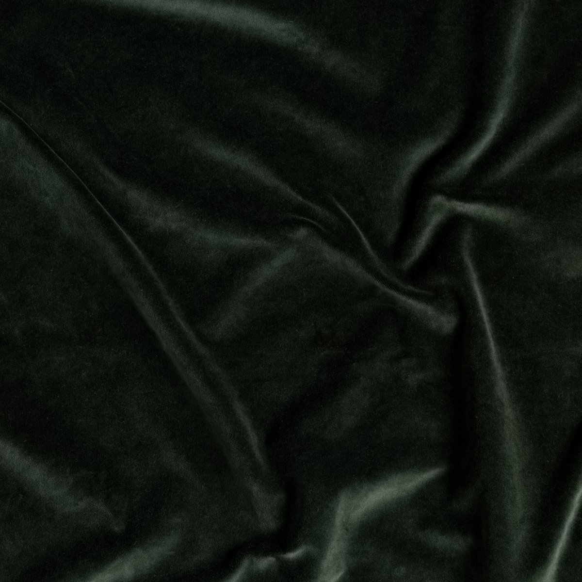 Juniper: A close up of cotton velvet fabric in Juniper, a deep green tone.