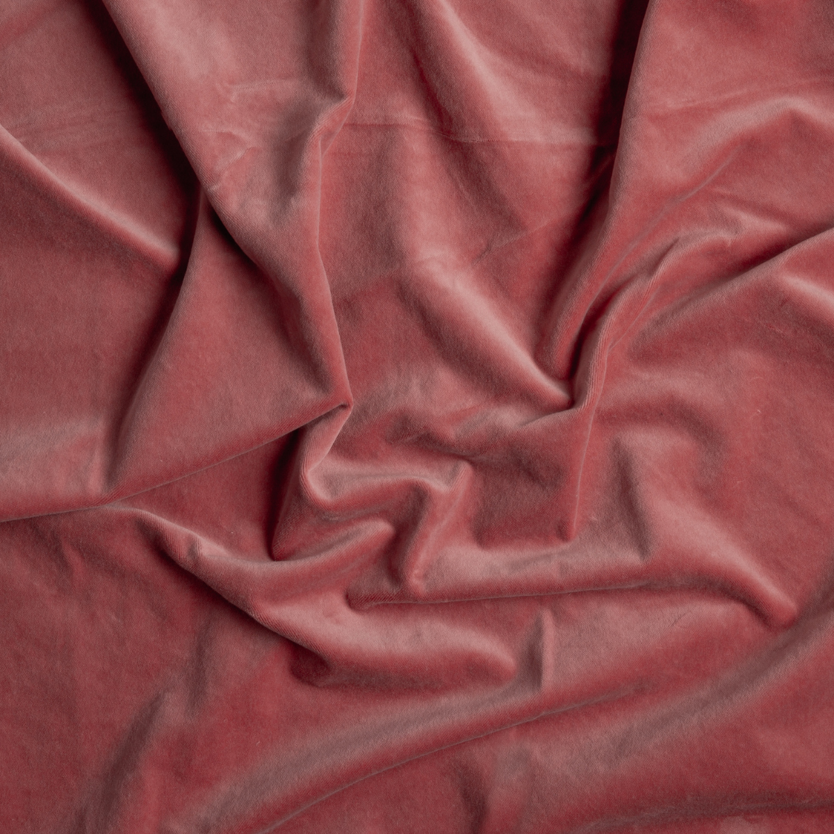Poppy: A close up of cotton velvet fabric in poppy, a warm coral pink.