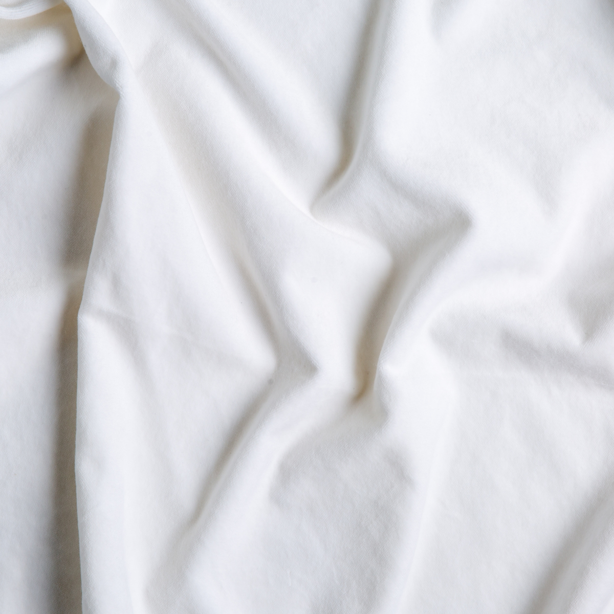 White: A close up of cotton velvet fabric in classic white.