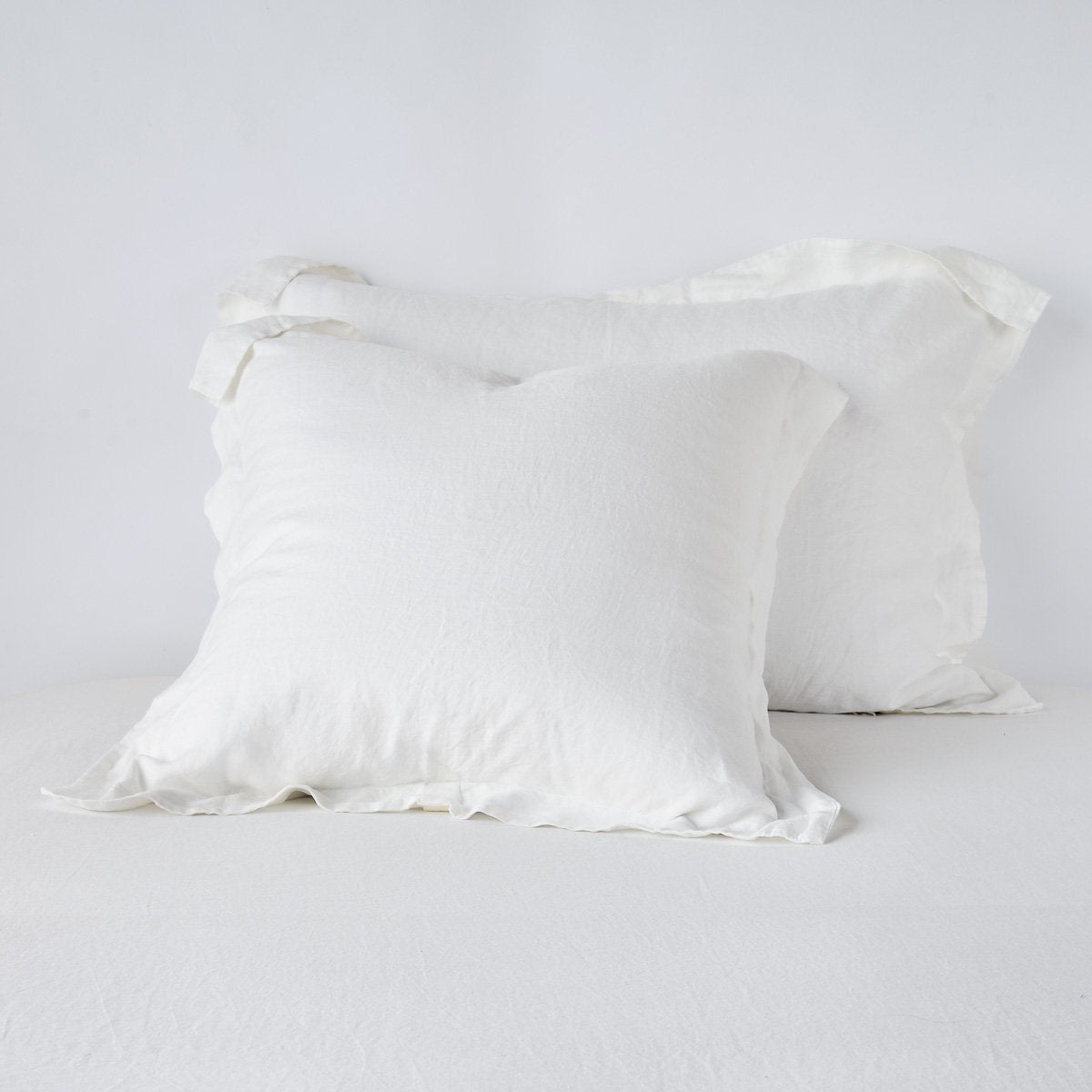 Winter White: Two shams leaning upright against a white background.