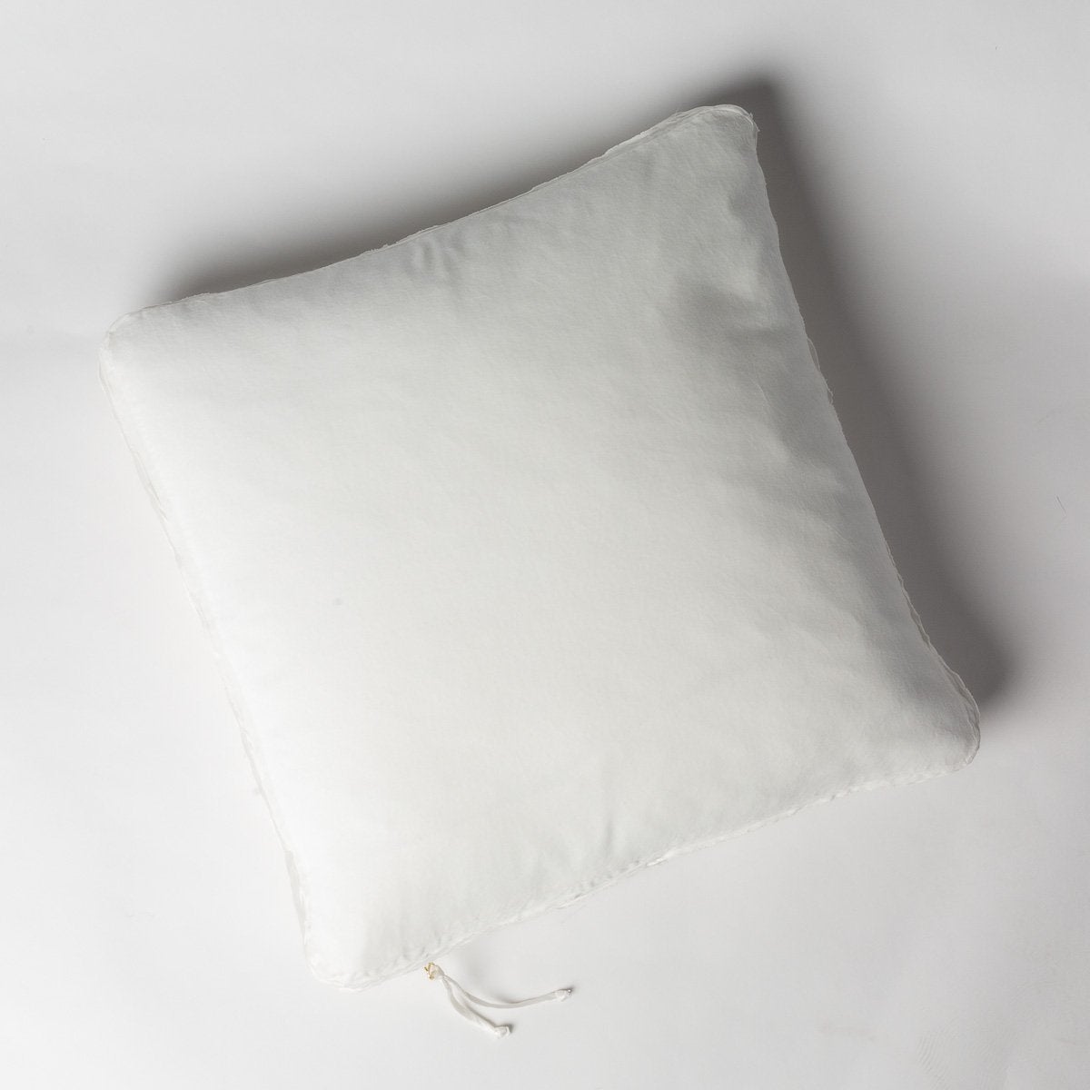 Winter White: Cotton velvet 24 by 24 pillow on a plain background - overhead view.