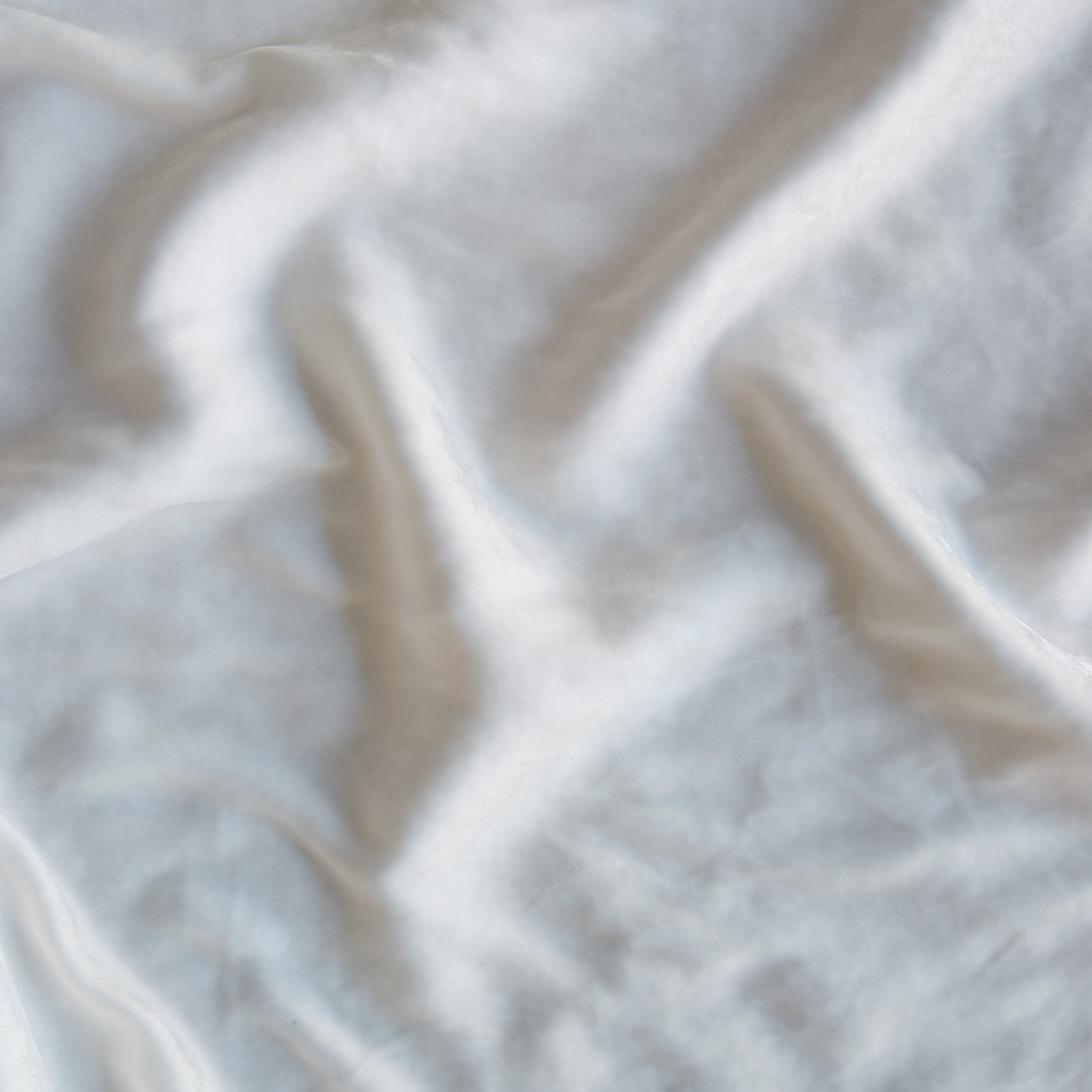 Winter White: A close up of silk velvet in winter white, softer and warmer in tone than classic white.