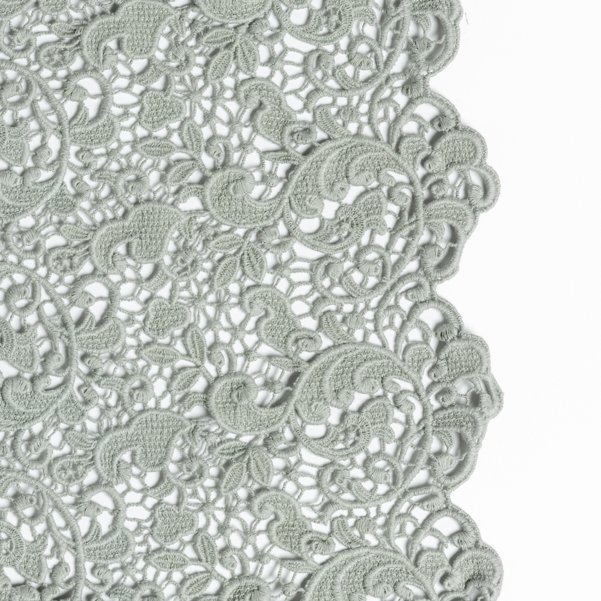 Eucalyptus: a close up of cotton all-over lace with a scalloped edge.
