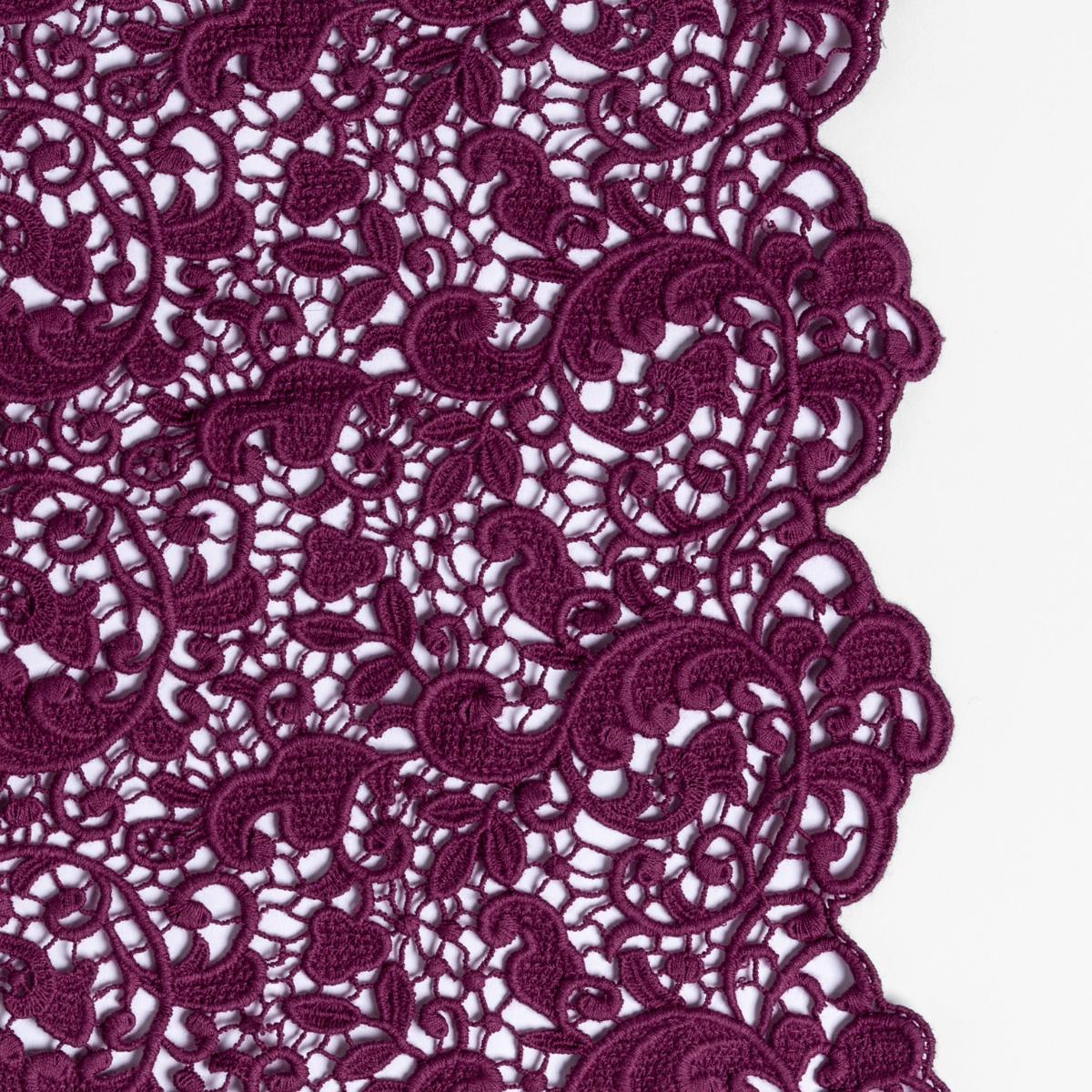 Fig: a close up of cotton all-over lace with a scalloped edge.