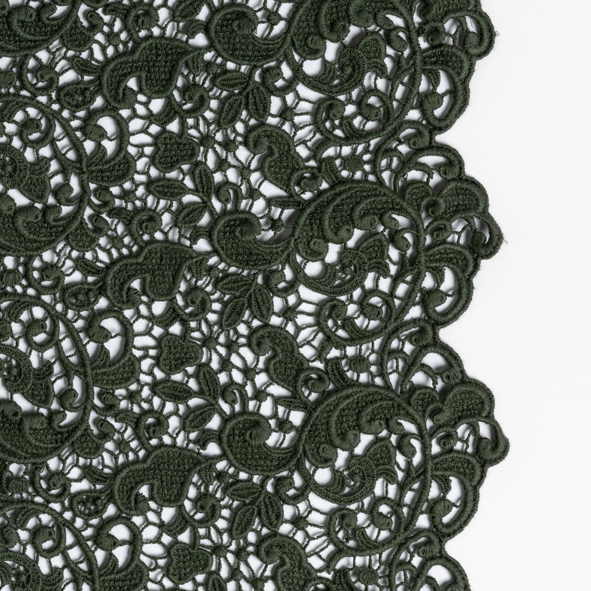 Juniper: a close-up of cotton all-over lace with a scalloped edge.