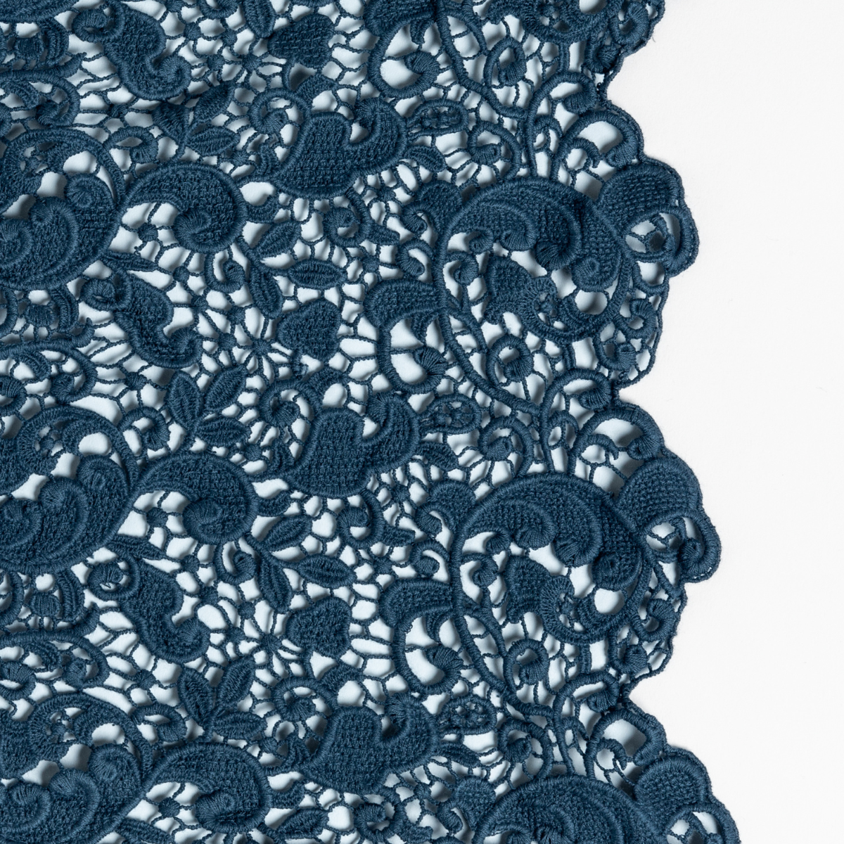 Midnight: a close up of cotton all-over lace with a scalloped edge.