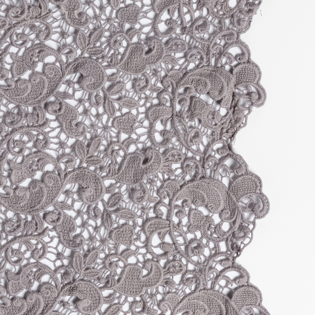 Moonlight: a close-up of cotton all-over lace with a scalloped edge.