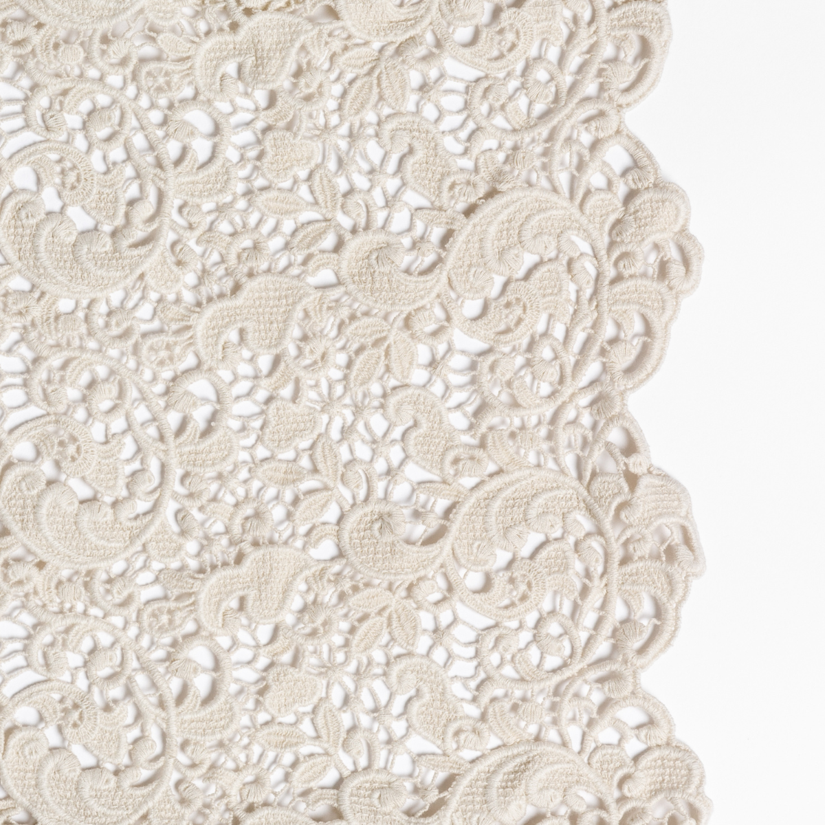 Parchment: a close-up of cotton all-over lace with a scalloped edge.