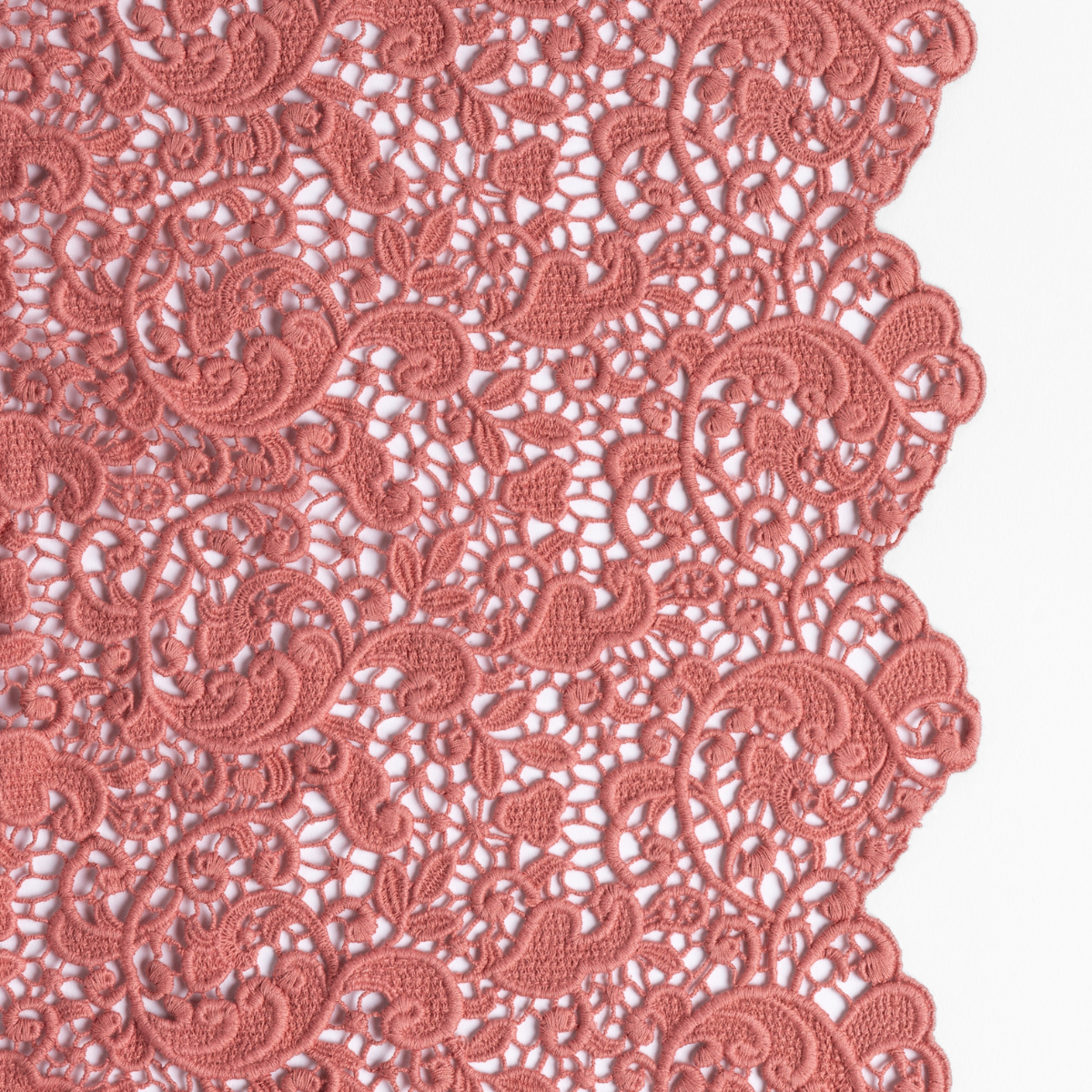 Poppy: a close up of cotton all-over lace with a scalloped edge.