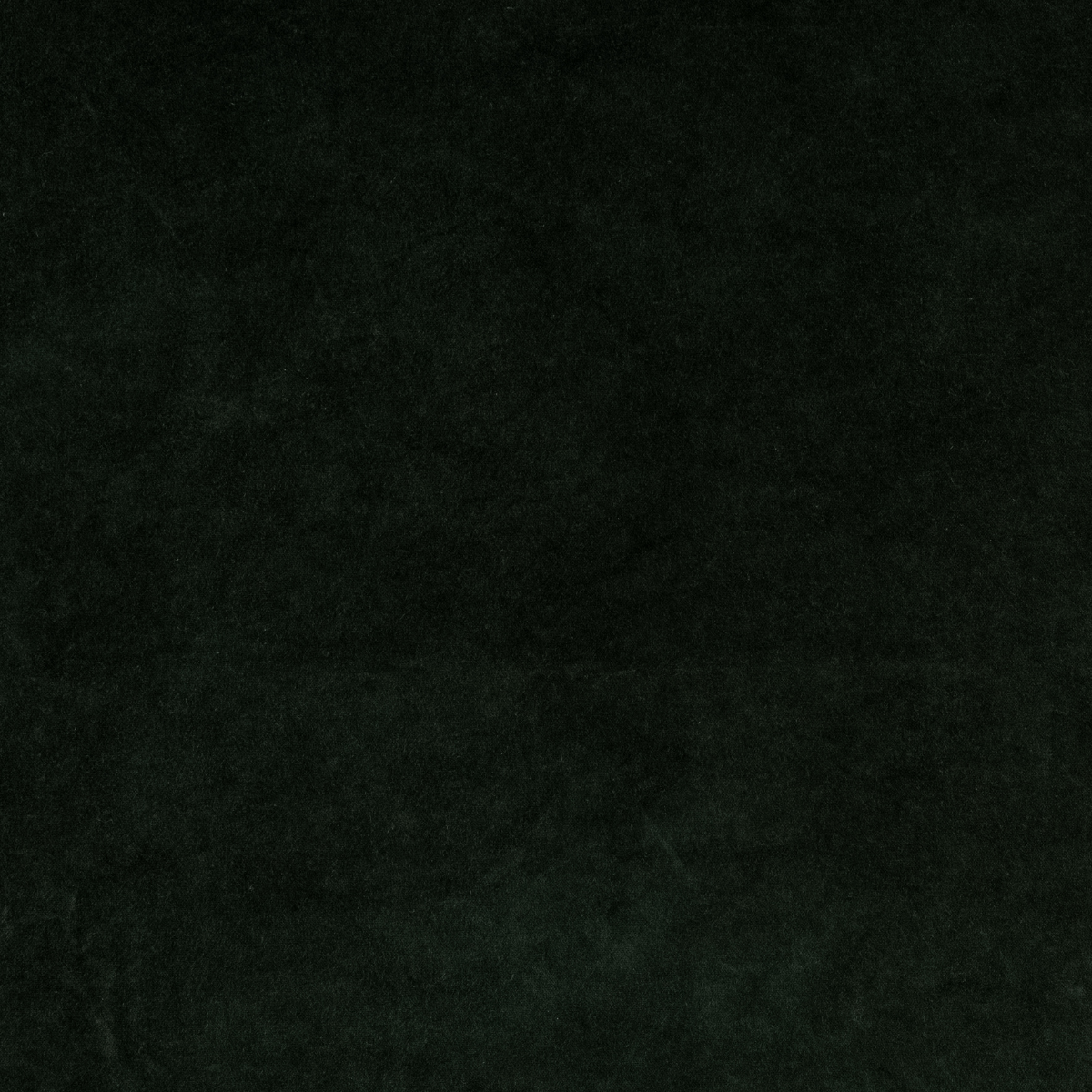 Juniper: A close up of cotton velvet fabric in Juniper, a deep green tone.