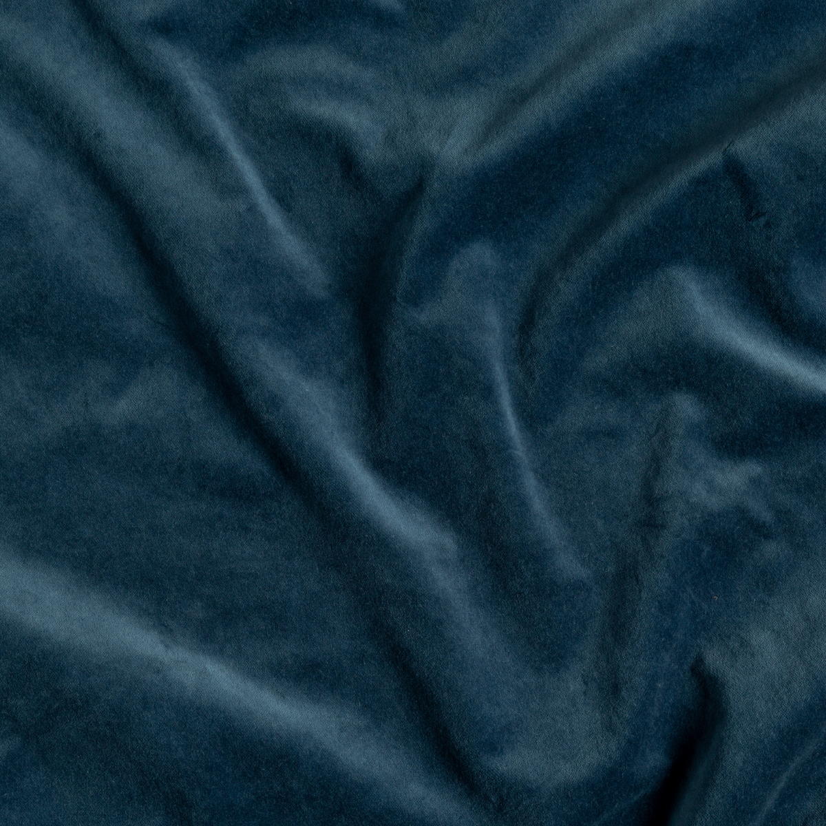 Midnight: A close up of cotton velvet fabric in midnight, a rich indigo tone.