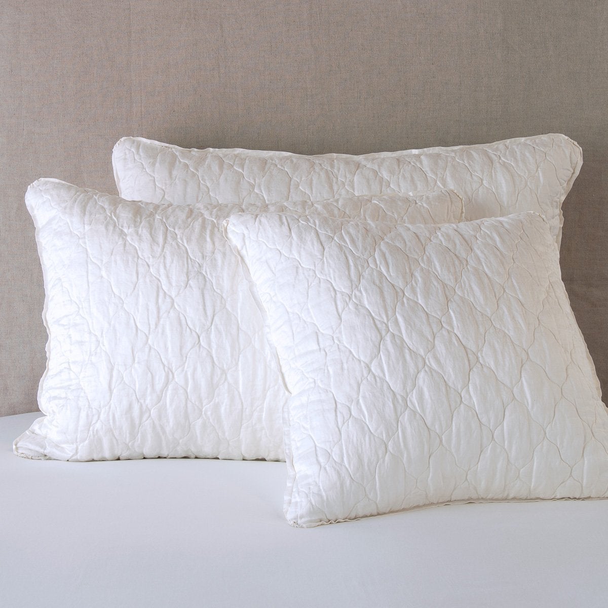 Winter White: shams leaning upright against a neutral background.