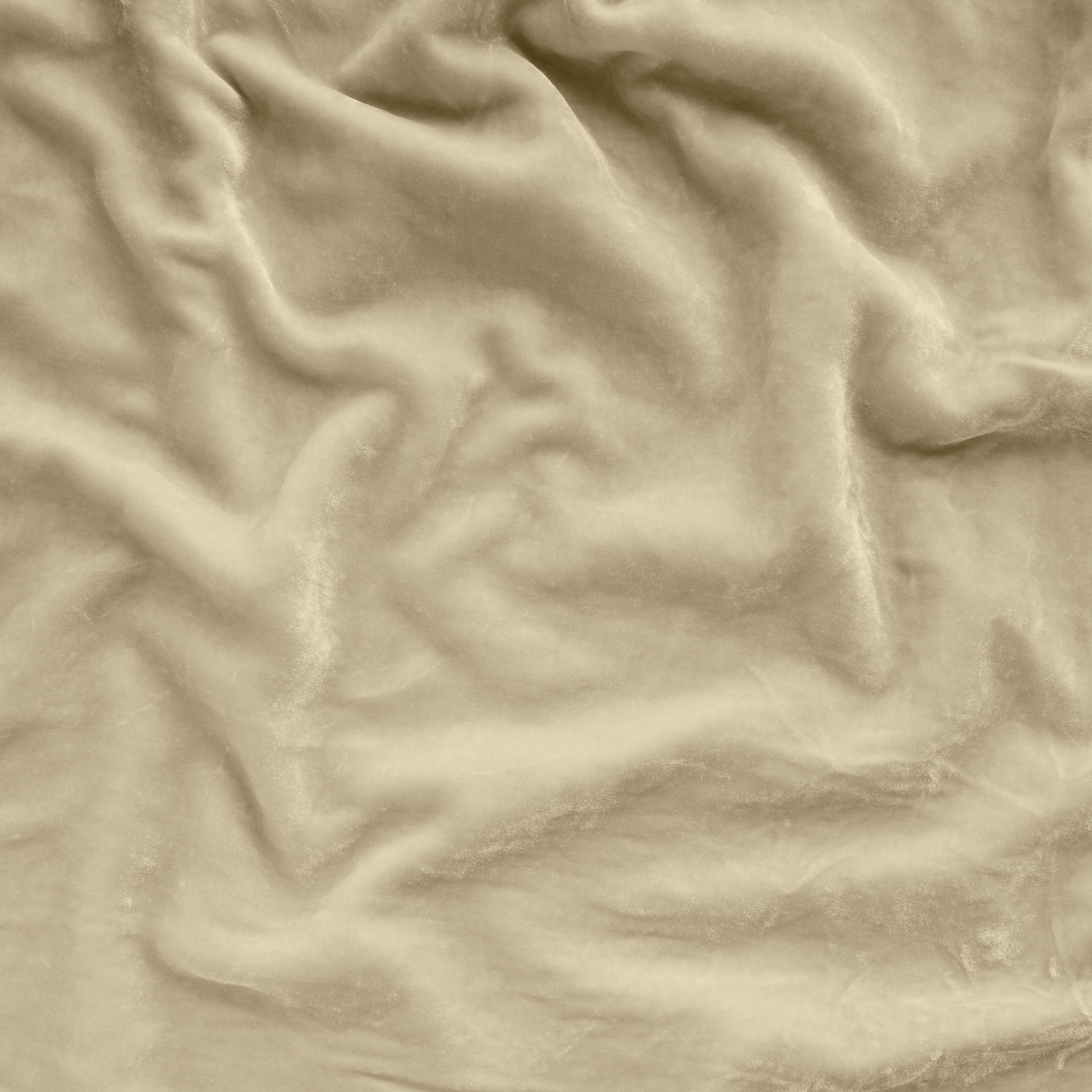 Parchment: A close up of silk velvet in parchment, a warm, antiqued cream. 